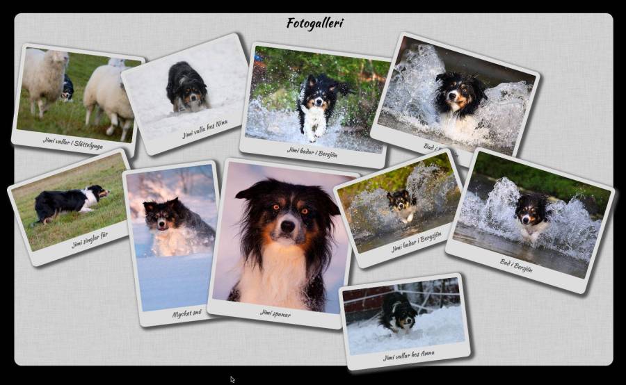 fotogalleri.jpg fotogalleri.jpg