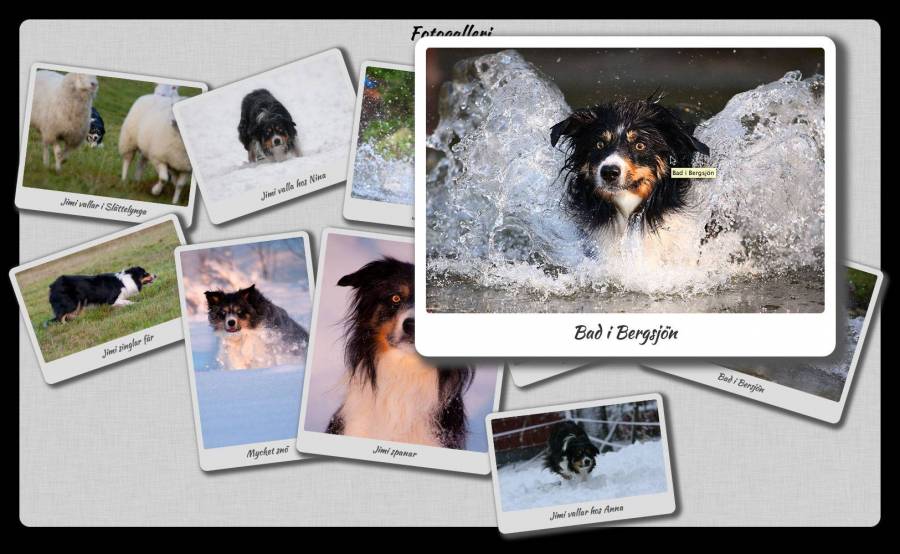 fotogalleri_hover.jpg fotogalleri_hover.jpg