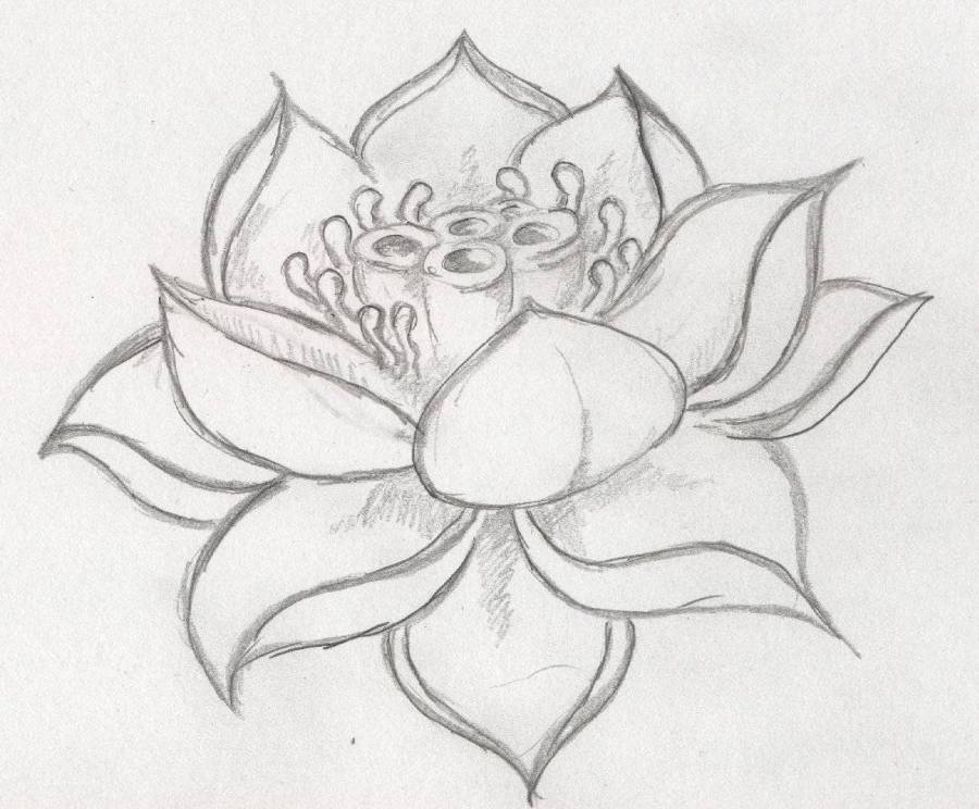 lotusblomma2.jpg lotusblomma2.jpg